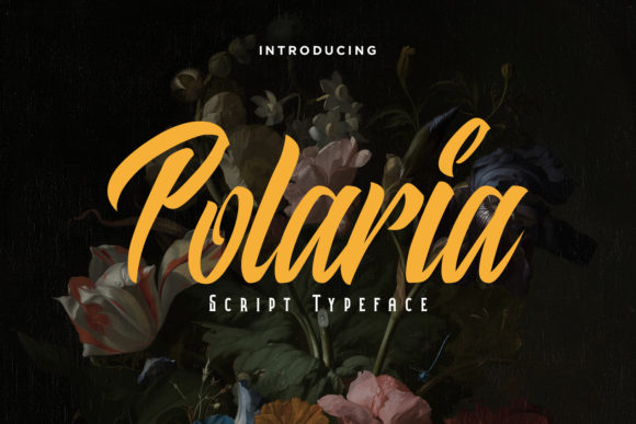 Discover Polaria: A Font for Stylish and Strong Editorial Design