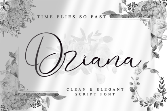 Driana: A Stylish Calligraphy Font for Modern Web Design