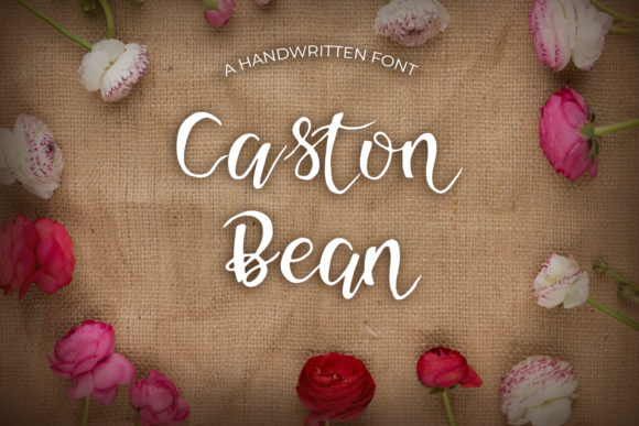 Elevate Your Web Design with Caston Bean Font