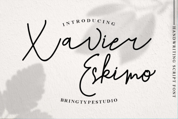 Xavier Eskimo: A Stylish and Delicate Font for Modern Web Design
